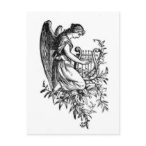 Angel With Harp And Flora Postcards