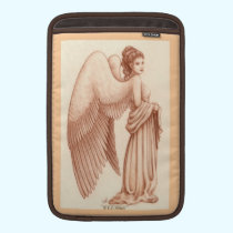 Angel Woman rickshaw sleeves