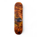 Angela2 skateboards by petitesexkitten Angela2 skateboards