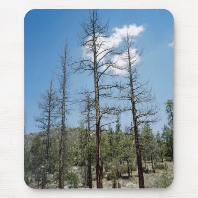Angeles Crest Mousepad by quetzal323
