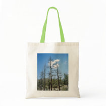 Angeles Forest bags