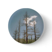Angeles Mountains buttons