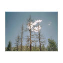 Angeles Mountains postcards by quetzal323 Angeles Mountains postcards