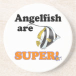 angelfish are super coaster