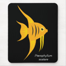 Angelfish_Bold and Beautiful on Black mousepads