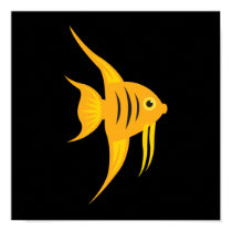Angelfish_Bold and Beautiful on Black posters