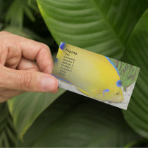 Angelfish Business Card