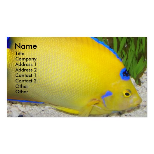 Angelfish Business Card (front side)
