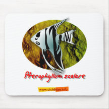 Angelfish Mouse Pad