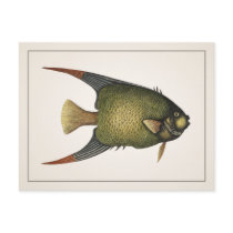 Angelfish Postcard - Style I