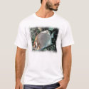 Angelfish t-shirts by ceberhardt Angelfish t-shirts