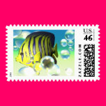 Angelfish Water Fantasy Stationary postage
