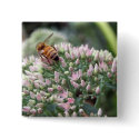 Angelic Honeybee Button by greatphotos Angelic Honeybee Button