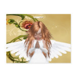Angelic Post Card