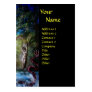 ANGELICA  AND SEA DRAGON BUSINESS CARD