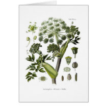 Angelica Greeting Card