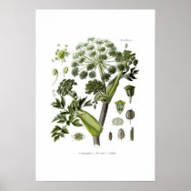 Angelica Print