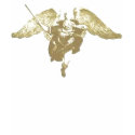 angelical t-shirts