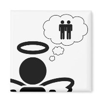 angelicon. boy dreams. magnets