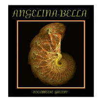 ANGELINA- posters