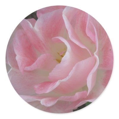 Angelique Tulip Stickers by agreaterplan