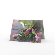 Angels and Miracles for Your Birthday Cards