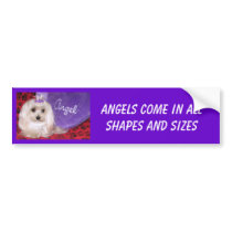 Angels come in all shapes and sizes bumper sticker bumper stickers
