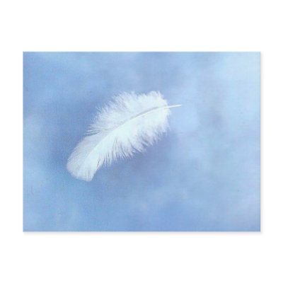 Angel's Feather Postcard by darshe40