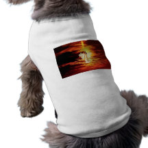Angels in the Sky Pet Shirt
