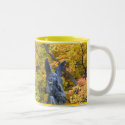Angel's Kiss mugs