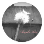 Angel's Kiss