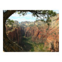 Angels Landing posters