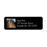 Angels Landing Return Address Label