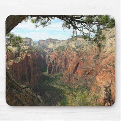 Zion+national+park+angels+landing+pictures