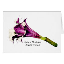 Angel's Trumpet - card