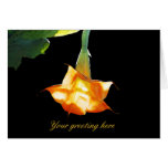 Angel's Trumpet Greeting Card