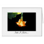 Angel's Trumpet Card