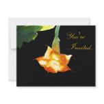 Angel's Trumpet Custom Announcement