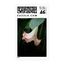 angels trumpet postage