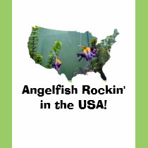 Angels-USA t-shirts