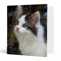 Angels With Whiskers (kitten) Binder