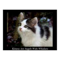 Angels With Whiskers (kitten) Fine Art Print