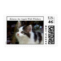 Angels With Whiskers (kitten) Stamps