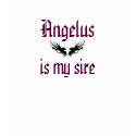 Angelus t-shirts by miumiuthecrazycat Angelus t-shirts