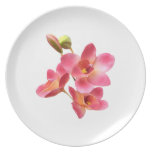 anggrek dinner plate