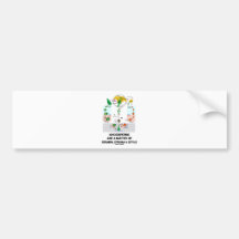 Angiosperms Are A Matter Of Stamen Stigma Style Bumper Sticker