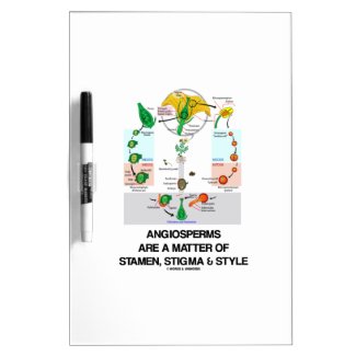 Angiosperms Are A Matter Of Stamen Stigma Style Dry-Erase Whiteboards