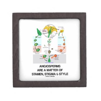 Angiosperms Are A Matter Of Stamen Stigma Style Premium Jewelry Box