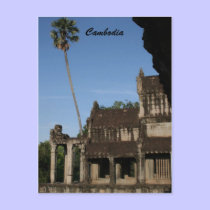angkor tree postcards by cardart angkor tree postcards