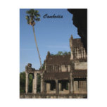 angkor tree postcards